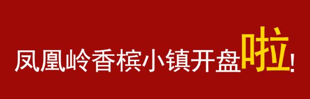 仅264户！凤凰岭香槟小镇避暑度假洋房快来抢
