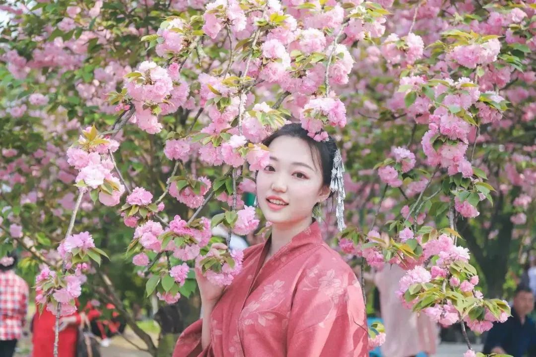 成都景点60岁以上免费门票,成都免费游玩景点推荐