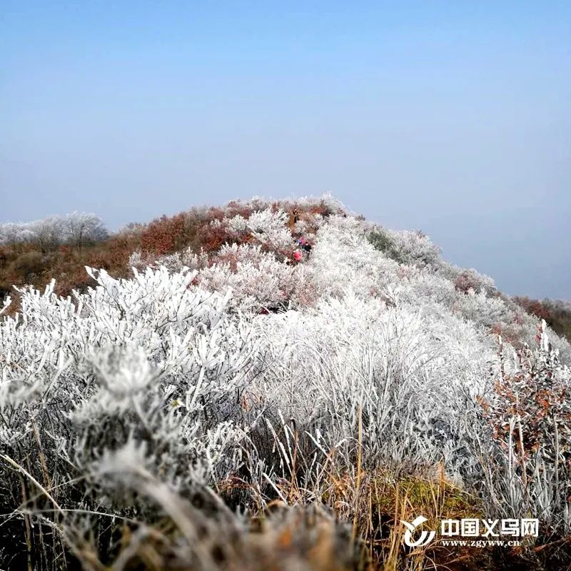 义乌最漂亮的风景,义乌周边哪个风景好一点
