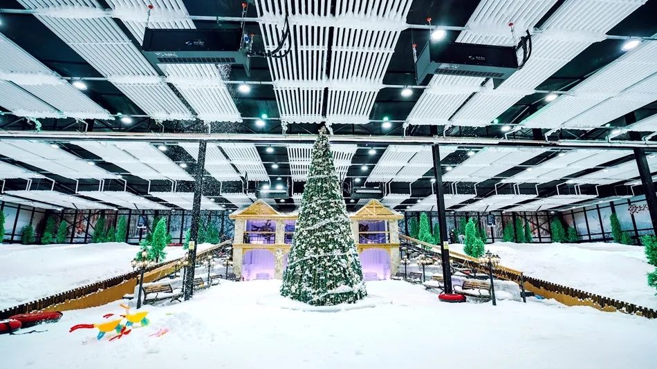 这个夏天一定要来一杯蜜雪冰城,这个夏天一定要来一趟哈尔滨