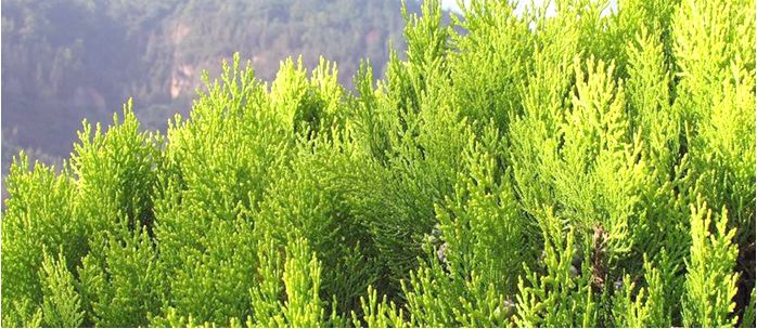 坚持抹防晒可以防止长斑吗,你可以不化妆