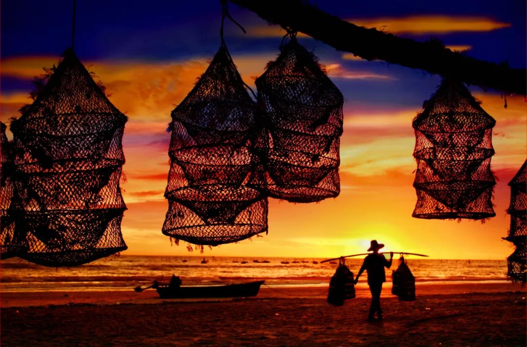 湛江开渔节美食,湛江开渔节现场视频