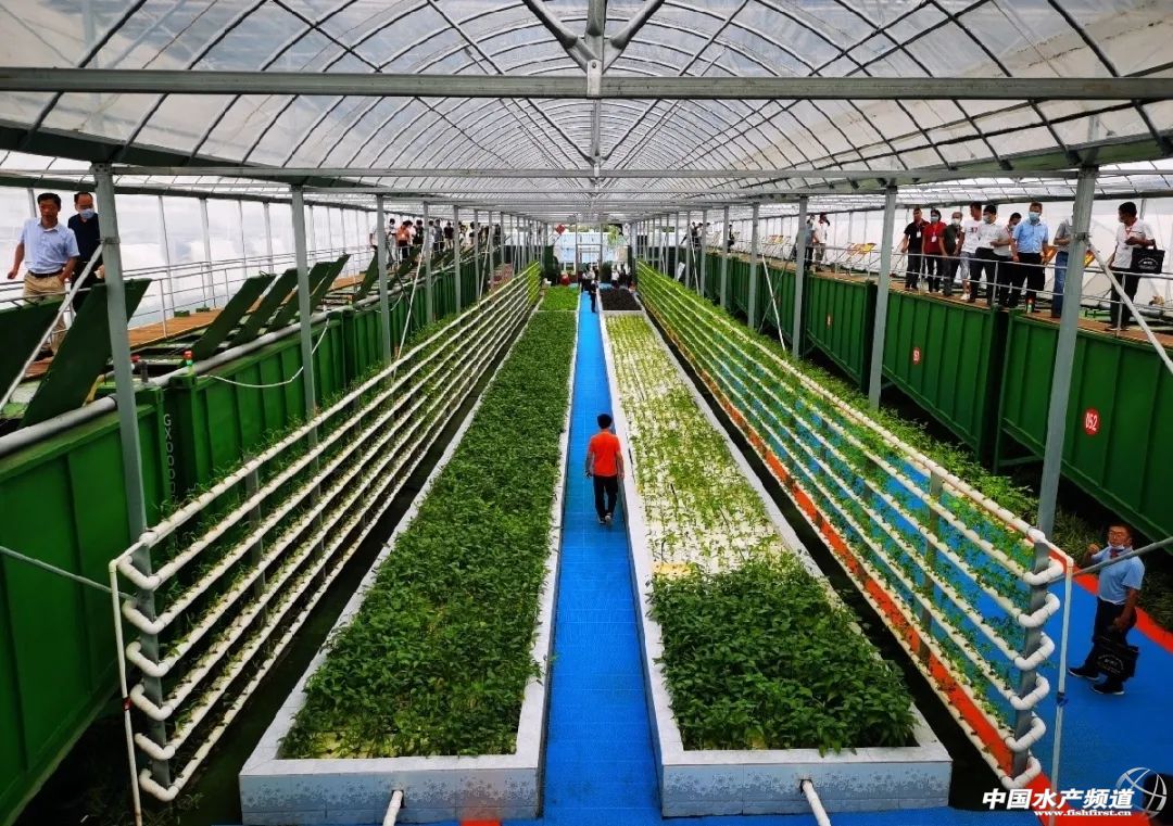 池塘生态养殖场建造,集装箱养殖可行性报告