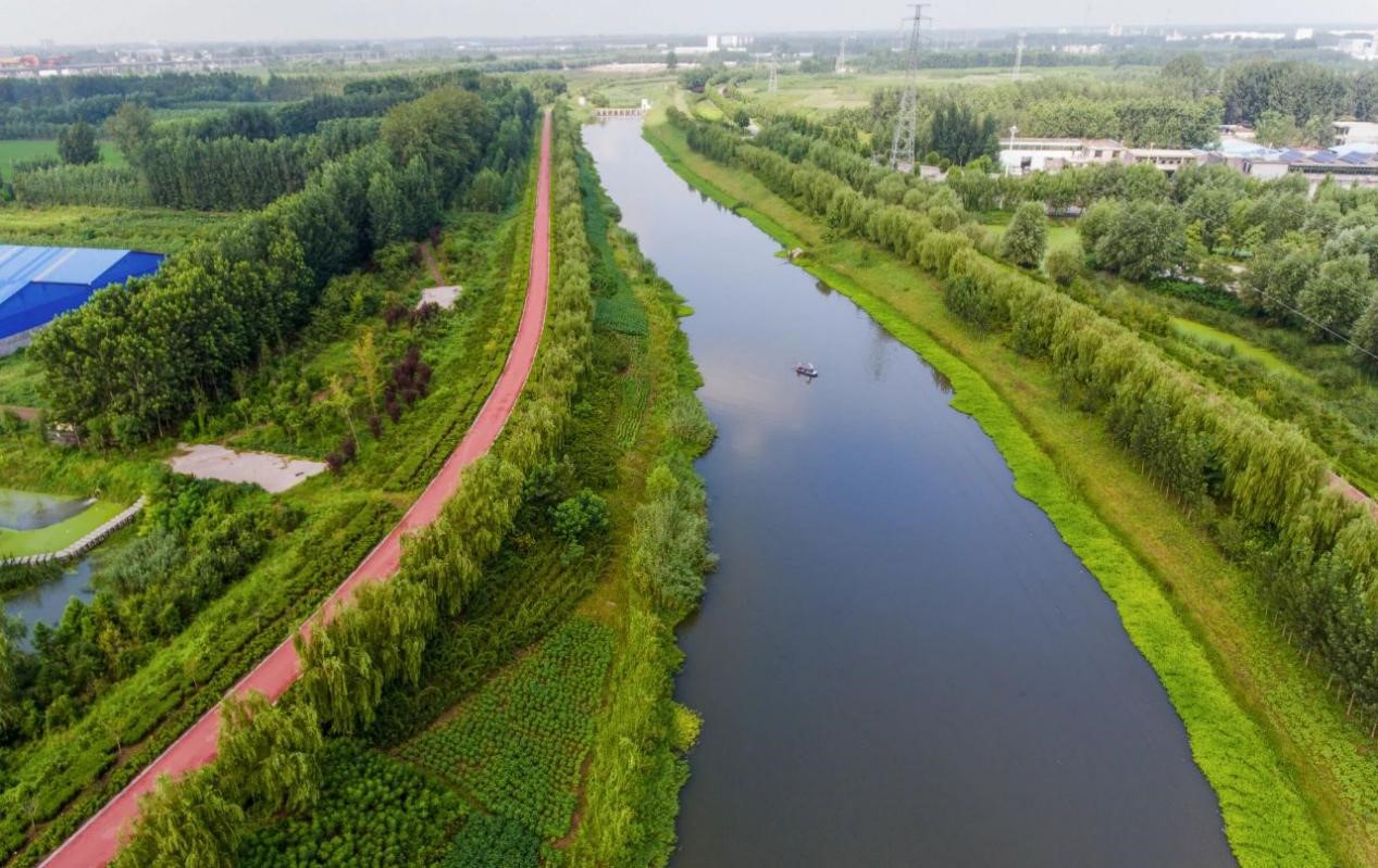 金锣厂生产全过程,金锣公司生产车间