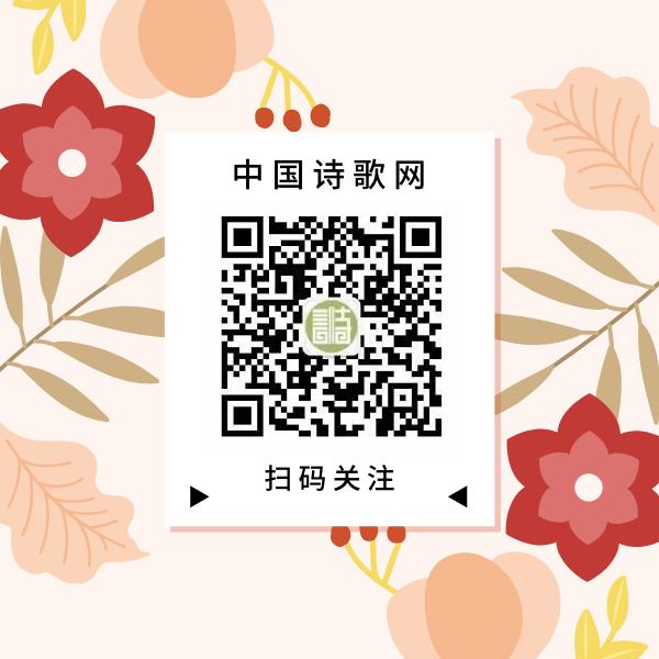 推文有创意的几个公众号,有吸引力的推文公众号