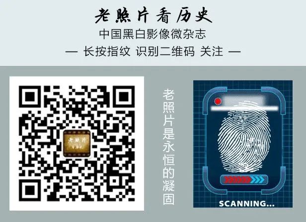 推文有创意的几个公众号,有吸引力的推文公众号