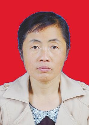 陕西省第六届道德模范颁奖,陕西省第六届道德模范提名奖奖章