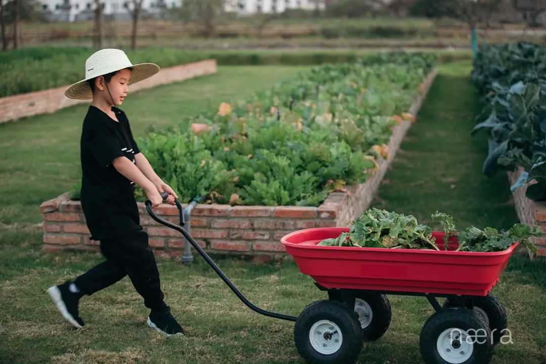 西塘古镇最佳的景观酒店,看西塘最好的酒店