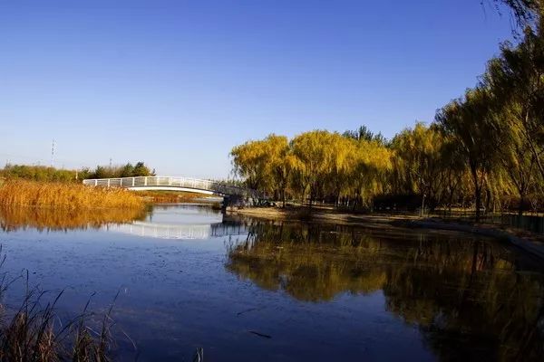 漫游新城|文化荟萃,景色怡人,在这里尽享公园慢时光