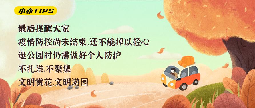 漫游新城|文化荟萃,景色怡人,在这里尽享公园慢时光