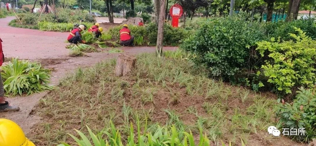 精雕细琢玉石魅力,精雕细琢完美呈现