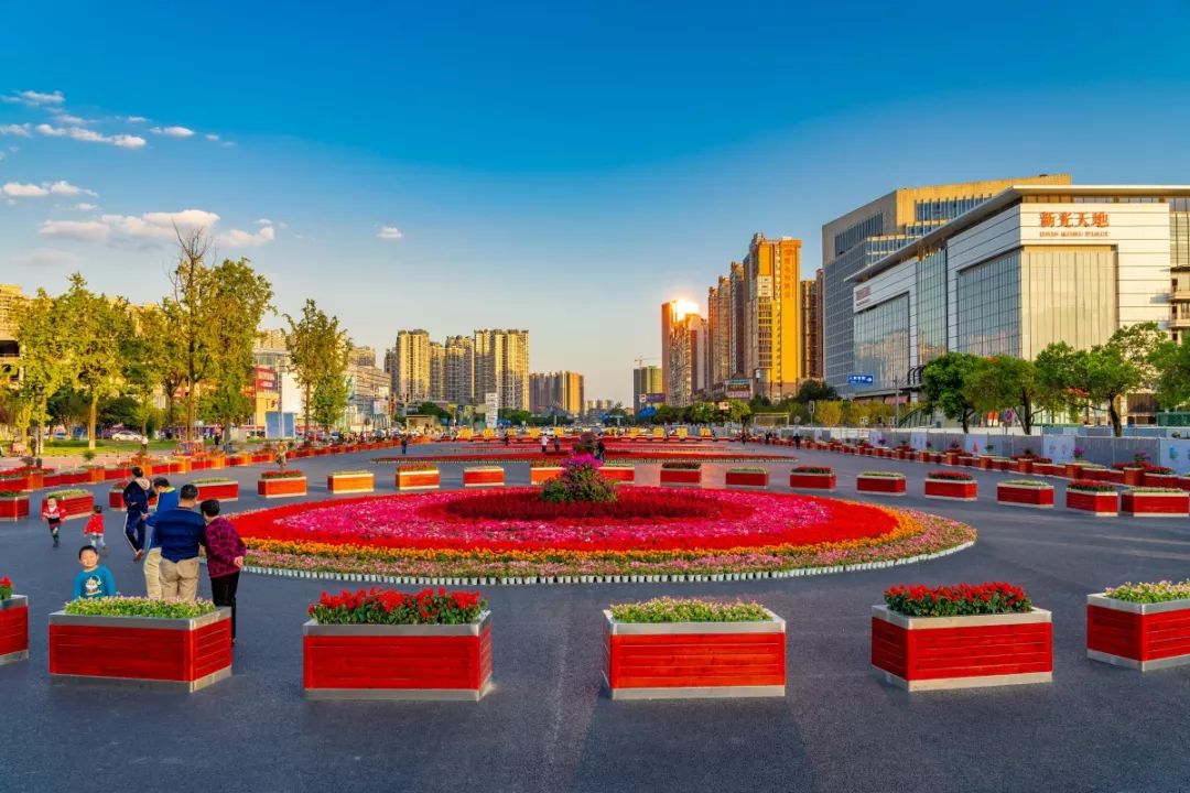 香飘飘青岛啤酒,香飘飘与娃哈哈公司