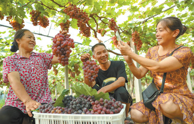 为全球减贫事业探索有益路径