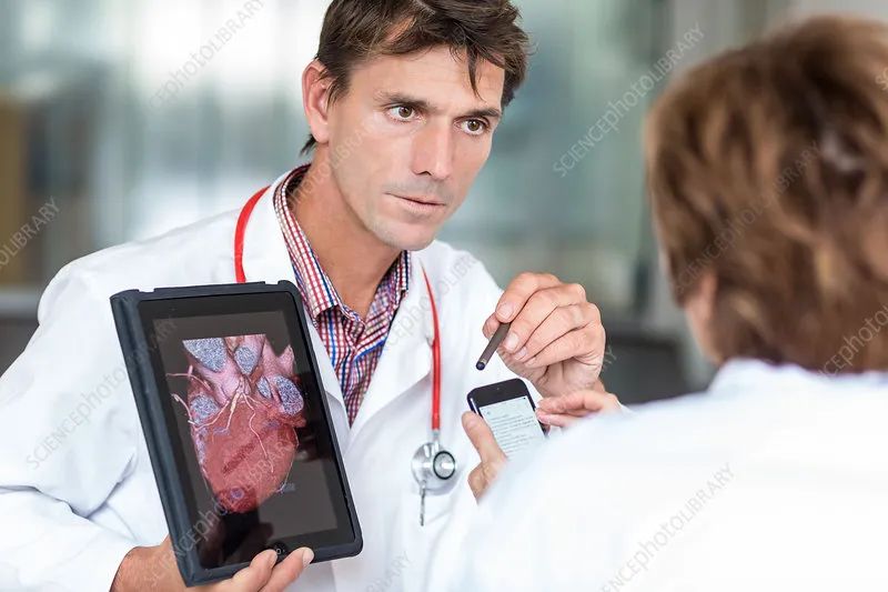 同型半胱氨酸升高为何易患冠心病,高同型半胱氨酸与冠心病