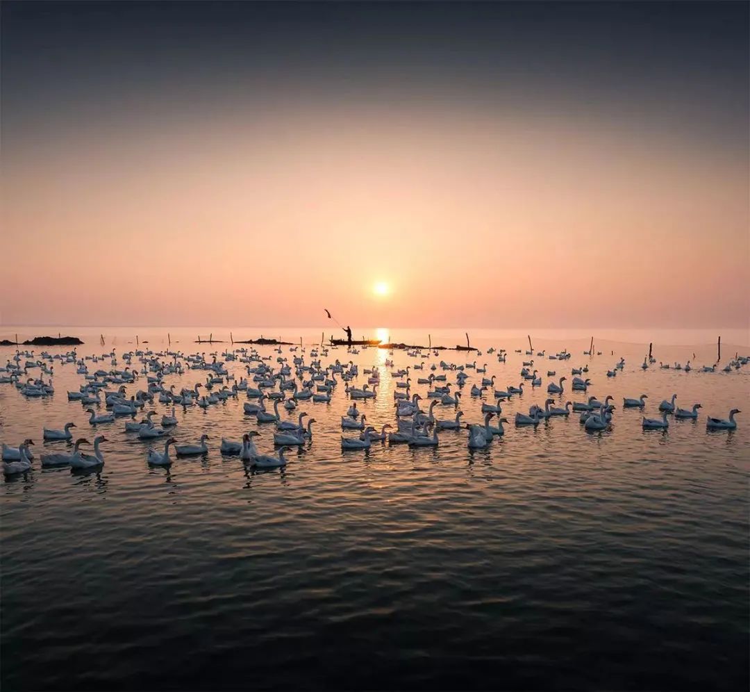 怎么腌鸭蛋鹅蛋流油好吃,怎么样腌鸭蛋快冒油