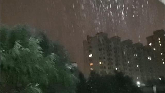 佳木斯台风巴威降水量多少,巴威到大庆