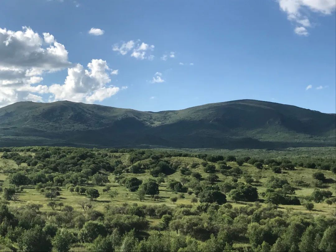 国庆旅游攻略内蒙,内蒙古之旅第一天