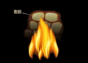 吃日本小丸子减肥吗,日本减肥小丸子