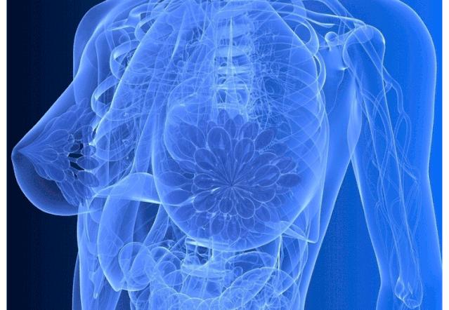 如何快速丰胸且不会反弹,不吃药怎么丰胸