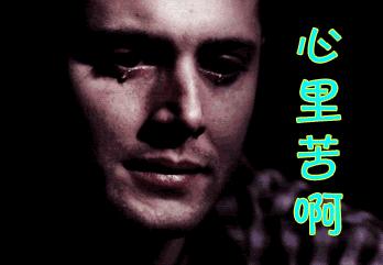 临夏市最新诈骗案例,临夏最新诈骗