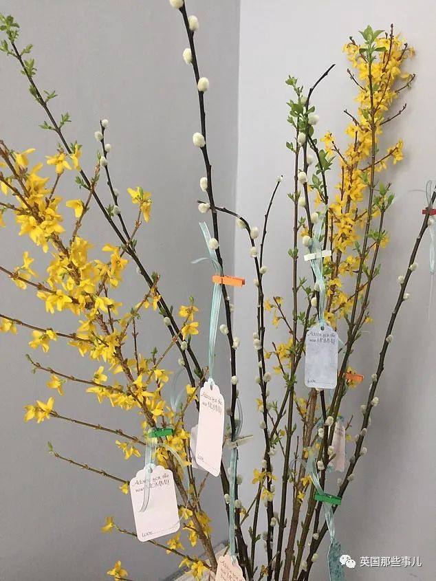 超级有钱的孕妈都咋生娃？居然还有专门打理一切的“孕期管家”....