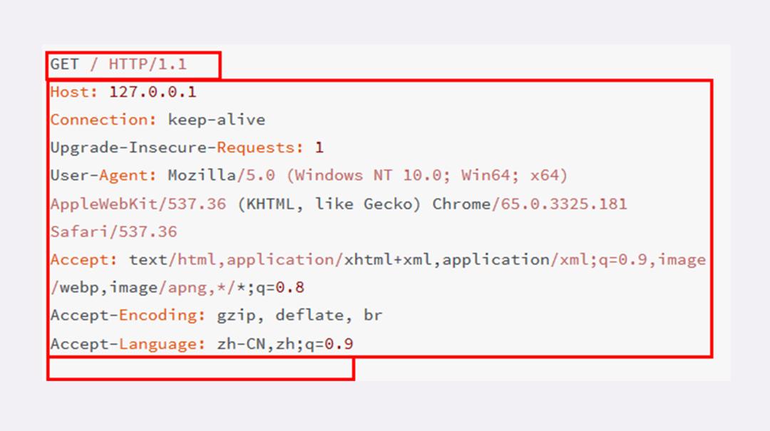 输入一个网址后回车发生了什么,输入网址回车后发生了什么