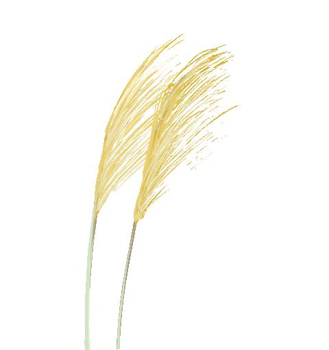 最美乡村游推荐湖北,300条全国乡村旅游精品线路