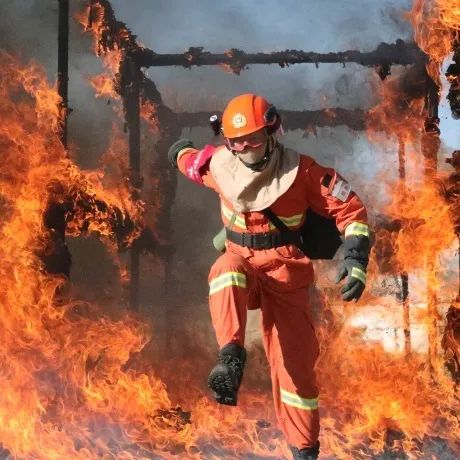 *藏西**那曲|苍翠成“云杉”一样的尖刀