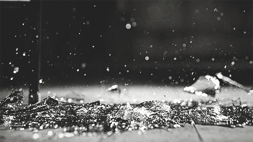 泰福高泰迪吸管杯,泰迪珍藏水杯