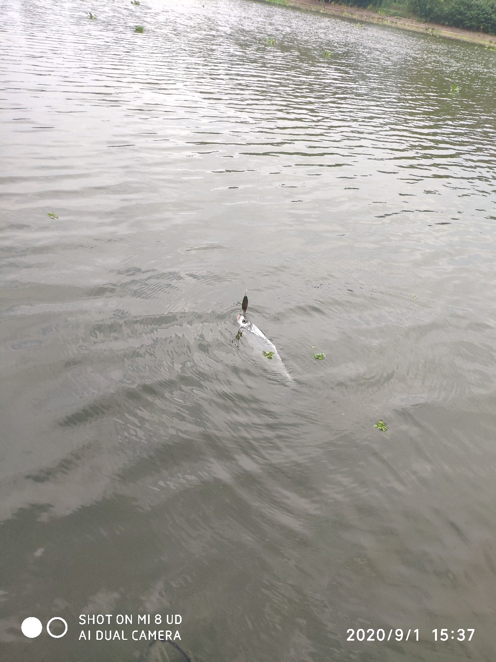 路亚铅头钩实用操作手法,路亚铅头钩零基础教学