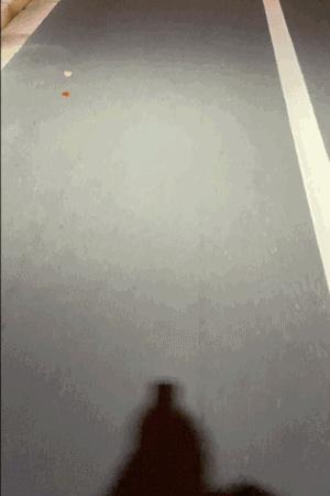 为什么我的DreamCompany|一直都是NIKE...