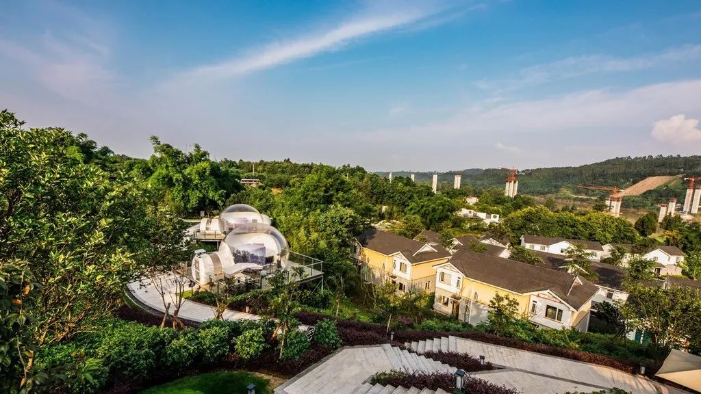 天府旅游名县访谈怎样回答,请回答成都完整版视频