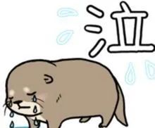 *处私**香水？蜜桃屁垫？这些东西到底是什么鬼