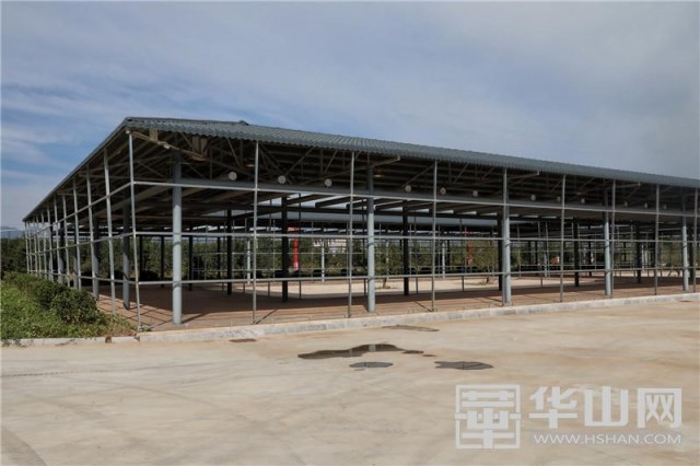 富平县天玺柿饼小镇,参观富平柿饼