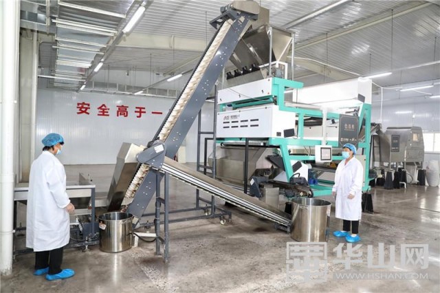 富平县天玺柿饼小镇,参观富平柿饼