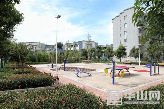 富平县天玺柿饼小镇,参观富平柿饼