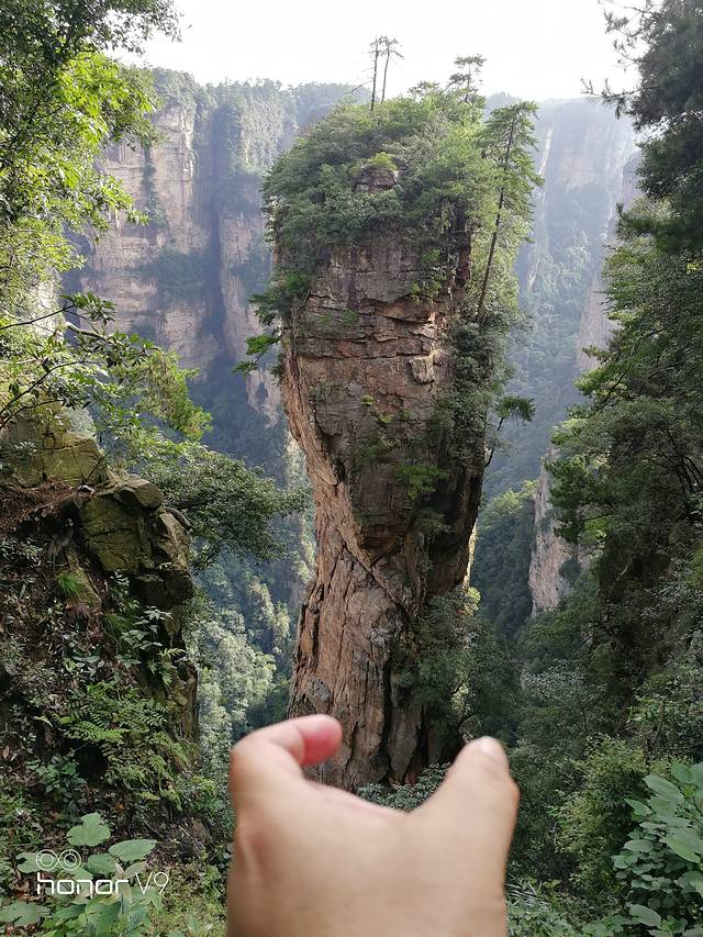 张家界西到长沙南,长沙至张家界旅游