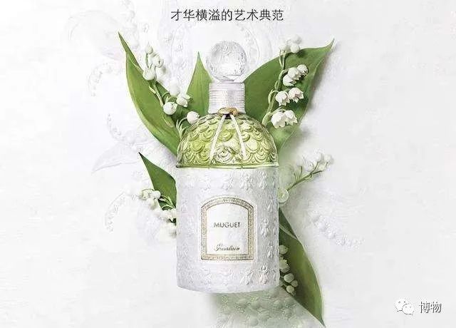 皇室名流捧红的铃兰手捧,你在家就能种