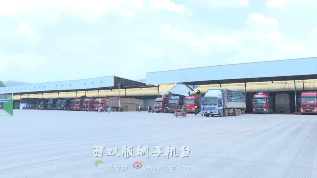 磨憨口岸水果进口情况,水果出口行情