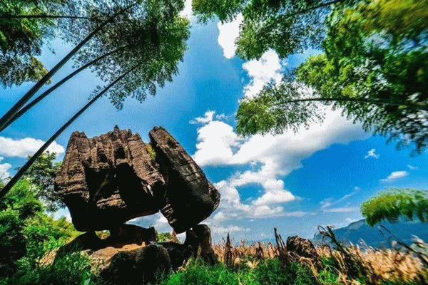 一年看变化,擦亮天府旅游名县这张名片