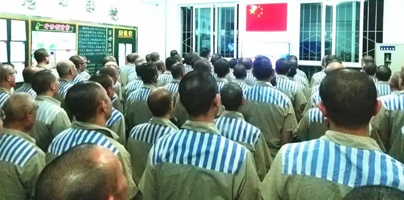 铭记历史展望未来感悟,铭记历史展望未来诗歌