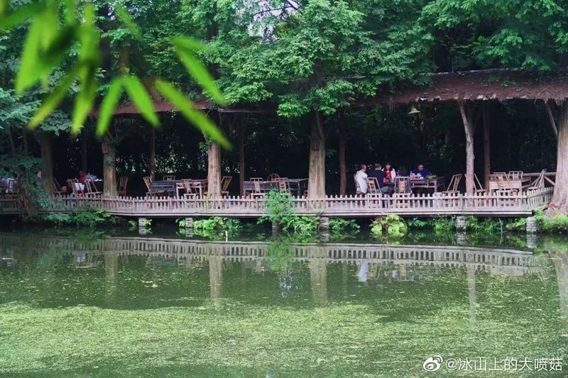 成都周边一日游网红打卡地民宿,成都网红打卡地旅游民宿