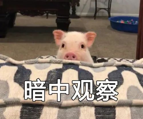 女子剁猪骨受伤患病,广西女子剁猪骨患上罕见的病