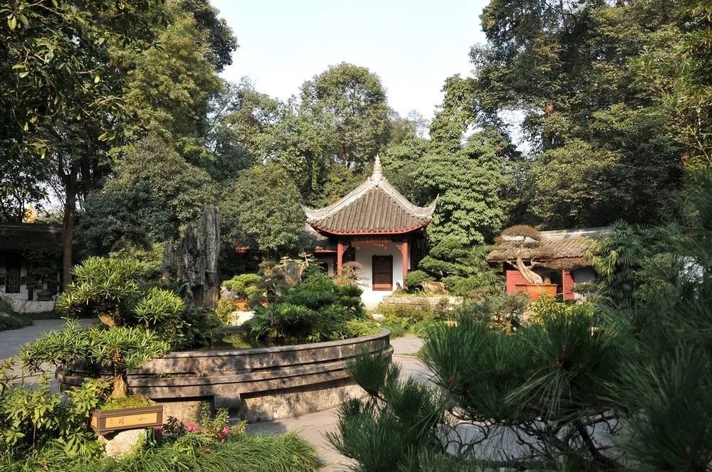 青羊区打卡,青羊区打卡景区