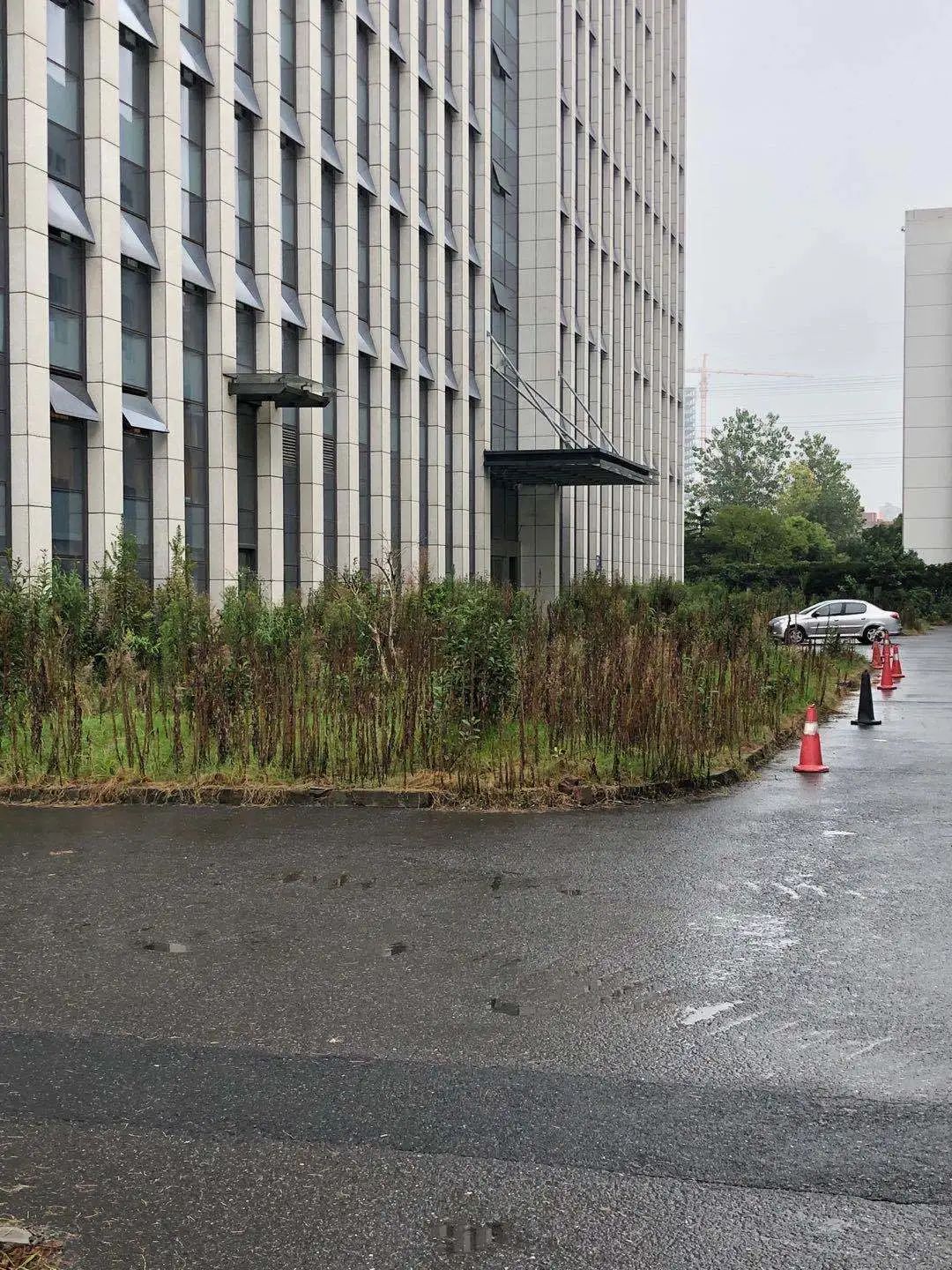 欠收拾图片,宝宝欠收拾