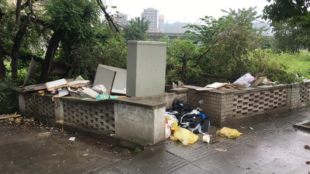 欠收拾图片,宝宝欠收拾