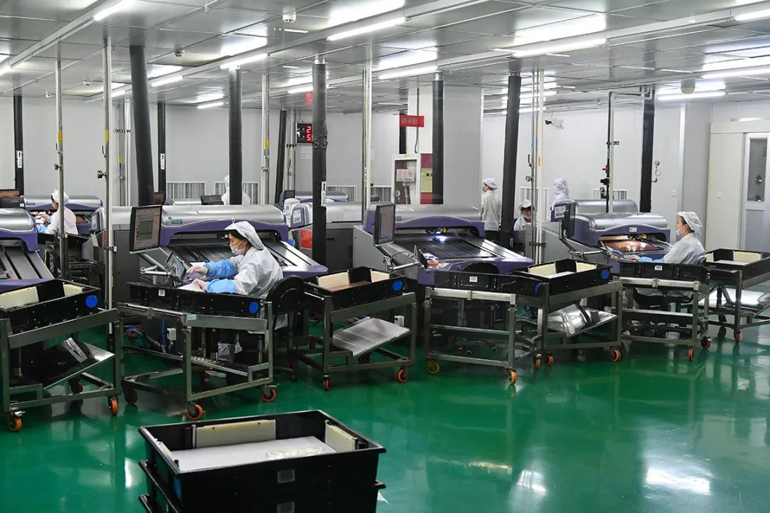 调研自贸区建设工作总结,区领导调研招商