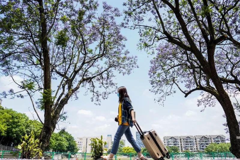 网约车司机送四个孩子,一个网约车司机带走三个女孩