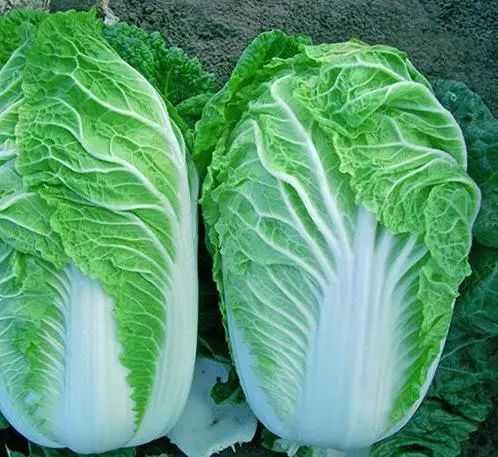 收藏！四川十二月月月hei惊艳