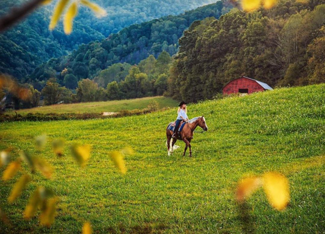 美国最大的地主有多少亩地,美国排名第一的大地主